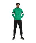 Puma Mens teamRISE Tracksuit, Sport Green-Black, M (65865305)