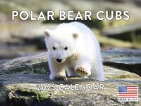 Baby Polar Bear Cubs Calendar 2025 Monthly Wall