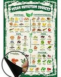 VEGAN Nutrition Sources Chart Magnet a4 size- Minerals Proteins Carbs Fats Iron Magnesium Calcium Potassium Water Resistant Kitchen Guide Magnet