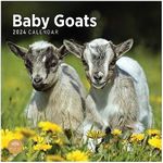 2024 Baby Goats Monthly Wall Calendar by Bright Day, 12 x 12 Inch