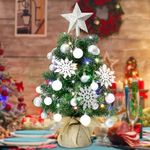 Tabletop Christmas Trees with Lights - HOYECHI Mini Christmas Tree 24 in, Small Pre Lit 2 ft Christmas Tree with 40 LED Lights & Ornaments Top Star for DIY, Christmas Decoration, Silver & White