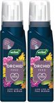 Westland Orchid Feed Concentrate 200ml (Pack of 2)