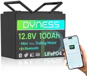 Dyness 12V 100Ah LiFePO4 Lithium Ba