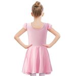 TETSUO Girls Ruffle Sleeve Ballet Leotards Kids Dance Outfits for Toddler Pink Dance Tutu Cute Skirt Ballerina Outfit