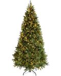 WeRChristmas Pre-Lit Craford Christmas Tree with Pinecones & 500 Chasing Warm LED Lights, 7 feet/2.1m