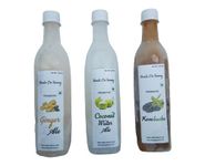 Hands on Tummy - Kombucha + Coconut Water Kefir + Ginger Ale - Pack of 3 - Fizzy Probiotic Drinks (500 ML Each)