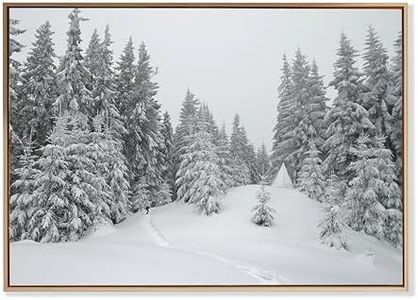 Induslyfe Lienzo enmarcado grande para pared, paisaje de invierno, bosque místico y paisaje de montaña, nieve, naturaleza, desierto, acogedor arte de pared para el hogar, baño, sala de estar, cocina,
