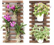 Wall Planter - Wooden air Plant Holder for Indoor and Outdoor Plants. Used as Hanging Vertical Garden Planter. Create own Garden Decor, Teen Girl Room Decor, Bathroom Decor, decoración para baños