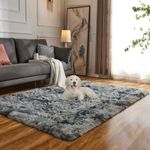 Evitany Fluffy Area Rugs, Non Slip Bedroom Rugs, BedsideRugs,Shaggy Rectangular Rugs, Washable Rugs Living Room,High Pile Rugs for Dining Room (Dark Grey,80x120 cm)