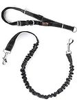 Mighty Paw Hands Free Dog Leash - A