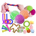 Sensory Toys 20Pcs Fidget Toys Autism Sensory Toys Fiddle Toys Include Squeeze Mesh Balls Flippy Chain Mesh Elastic Ball Stretchy String Snake Cube Sensory Ring Squishies Animal Great Party Favors