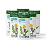 Four O'Clock Herbalist Detox Dandelion Herbal Tea, Non-Gmo, Kosher, Gluten-Free, 6 Pack of 20 Teabags