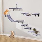 Cat Walls