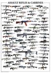 Assault Rifles Poster Guide #01 24x36in