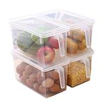 SAMPLUS MALL (LABEL) Plastic Food Storage Organizer with Lids - 5L, Pack of 2, Transparent