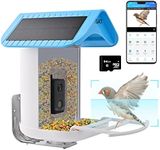 Bird Feeder with Camera - TIRGAT AI