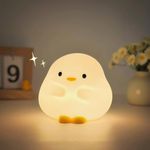 Daixinde Cute Duck Night Light, Silicone Duck Lamp for Kids, Squishy Led Bedside Lamp, Rechargeable Dimmable Animal Nightlight with 30 Minutes Timer & Touch Control for Bedroom Living Room Gift