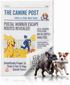 CAWOOYII 2 PACK Crinkle Newspaper Dog Toy , Dog Newspaper toy | Stuffing-Free, Satisfying Crisp Sound for Gentle Play & Daily Enrichment, Aesthetic Photo Prop & Funny Gift for Pups