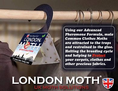 London Moth Killer Sticky Pheromone Traps, 10-Pack – Clothes & Carpet