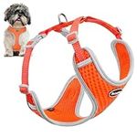 ThinkPet Reflective Breathable Soft Air Mesh No Pull Puppy Choke Free Over Head Vest Ventilation Harness Leash Set for Puppy Small Medium Dogs (Harness Leash Set Neon Orange,S)