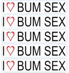 5 x I Love Bum Sex Funny Car Sticke