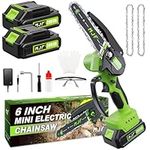 Mini Chainsaw Cordless 6-Inch with 
