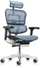 Ergohuman Eurotech ME7ERG GEN2 High Back Mesh Office Chair with Tilt Tension Control, Tilt Lock, Back Angle, Back Height, Synchro Tilt, Seat Height, Seat Depth, and Arm Height Adjustments, Blue
