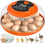 18 Egg Incubator with Automatic Egg Turning and Humidity Control, Incubators for Hatching Eggs, Chicken, Ducks, Goose, Pigeon, Quail, Parrot Incubator for Farm, Lab, Science Classroom, Home (Orange)