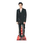 Star Cutouts Ltd Harry Styles Red Shoes Post 1 Direction Lifesize Cardboard Cutout Height 182cm for Fans, Friends & Family, CS734, 3 x 49 x 182 cm