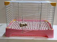 Puppy Royal Cage/Double Opening Front & top/Suitable only for Guinea Pigs & Puppies/Size: L- 20.5 Inch, W- 13.5 Inch, H- 15.7 Inch/TAIYO PLUSS DISCOVERY (Pink)