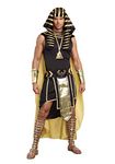 Dreamgirl Men's King of Egypt King TUT Costume, Black/Gold, Medium