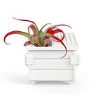 Genuine Fred Air Plant Holder, Stoneware, Dumpster