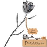 BESZONE Iron Gifts for 6th Anniversary - Metal Rose 6 Year Iron Anniversary for Her, Everlasting Rose for 6 Year Wedding Anniversary Handcrafted Steel Gift 11th Everlasting Love Artwork