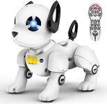 Remote Control Robot Dog Toy, RC Do