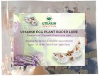 Utkarsh Egg Plant Borer Lure Leucinodes Orbonalis Pheromone Lure for Catching Insects/Moth of Brinjal Fruit and Shoot Borer in Brinjal Plant - 100 Lures