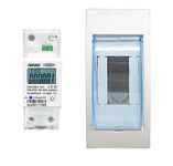 amiciSmart Bi-Directional Energy Meter, 100A Single Phase Sub-Meter with Weather-Proof Mount