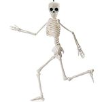 Cobee Movable Halloween Skeleton Decorations, 40 cm Skeleton Halloween Decor Full Body Skeleton Figure Movable Joints Skeleton Model Skull Decor for Halloween trick or treat Party Favor