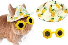 Cute Small Summer Hat and Glasses Costume Outfit Accessories for Pet Bunny Kitten Guinea Pig Chinchillas (Pineapple)