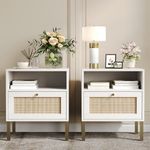 Natural Rattan Nightstands Set of 2, Accent End Table, Boho Bedside Table with 1 Hand Made Decorated Door for Living Room, Bedroom, White