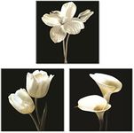 Flower Wall Decor for Bedroom Bathr