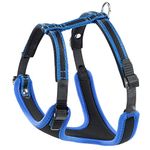 Ferplast Medium Size Dog Harness ERGOCOMFORT MEDIUM, Adjustable Dog Harness, Comfortable, Padded, Double Micro-adjustment Closure, Quick Release, Blue