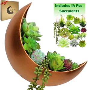 Wall Plant