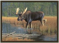 CPR Moose Rug 37x52