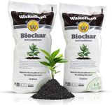 Wakefield Biochar Premium Garden Soil Conditioner – OMRI-Listed, FSC-Certified, 100% Organic Biochar for Raised Garden Beds, Potting Mix, Lawns, and Vegetable Gardens – 1 Gallon (1 Gallon Pack of 2)