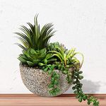 Anko Artificial Succulent Plants with Cement Pot (Potted Plants) | Decorative Item for Home, Office, Bedroom, Balcony, Living Room, Table Top | Natural Look Artificial Plant for Home Décor