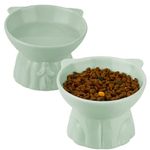 Ceramic Elevated Cat Bowls, 2 Extra Wide Raised Cat Bowls for Food and Water, Shallow Cat Food Dish Whisker Friendly, Anti Vomit Cat Bowls Microwave and Dishwasher Safe, Great Height for Cat (Green)