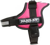 JULIUS-K9Powerharness, Size: M/0, D