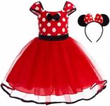 Princess Costumes Tulle Dress Birth