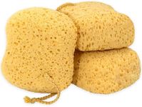 myHomeBody Premium Bath Sponge, Foa