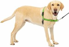 PetSafe Easy Walk No-Pull Dog Harne